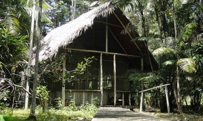 Leticia House | The beautiful Heliconia Reserves