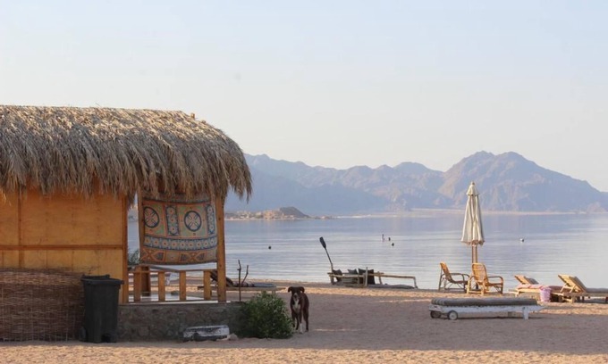 Nuweiba Villa | The Bedouin Life with Eid Ali - Standard Double room n