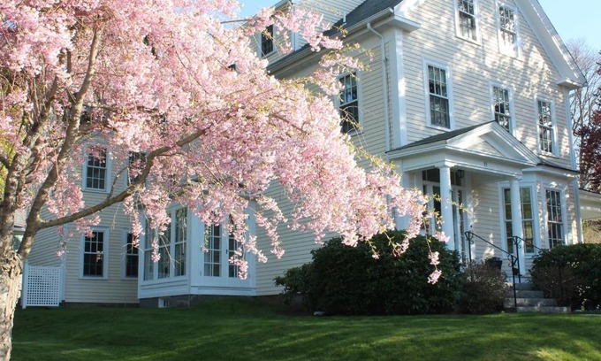 Rockport Bed & Breakfast | The Beech Tree B&B