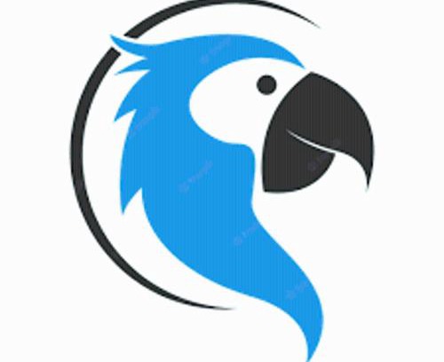 Hampton House | The Blue Parrot At Hampton Beach