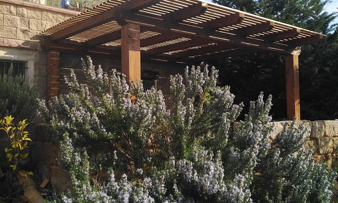 Castelluzzo House | the blue strawberry tree apartment