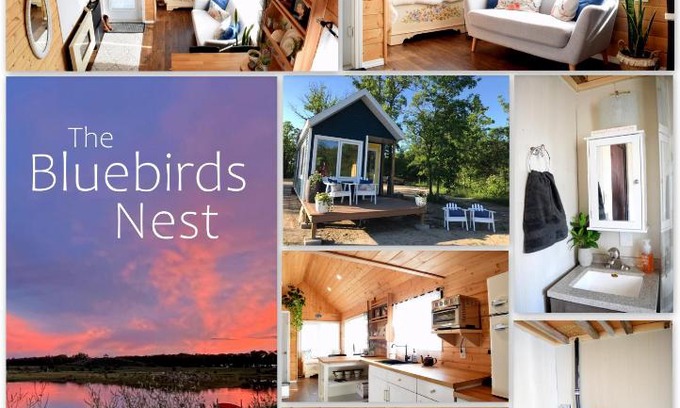 New Bothwell House | The Bluebirds Nest