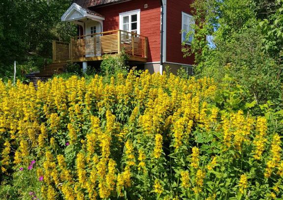 Rimbo House | The brickmaker's cottage