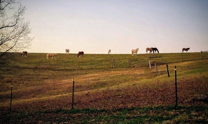 Cub Run Other | The Bunkhouse @Dragonfly Ranch is made to make you feel like home away from home