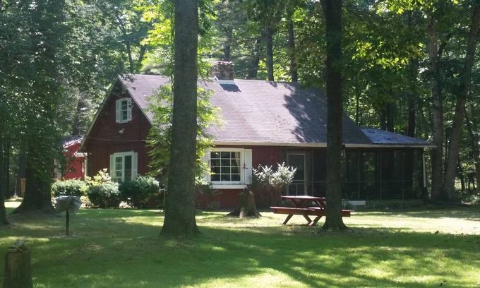 Wardensville Cabin | "The Cabin At Trout Run" - Waterfront, Wifi, Firepit, Wood Stove, Screened Porch