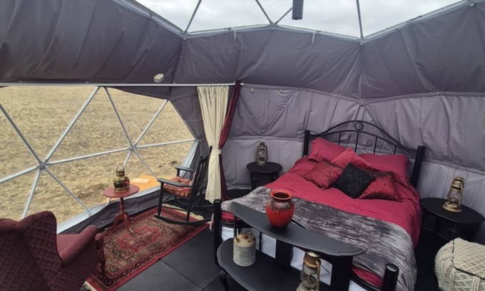 Redcliff House | The Cactus Berry Dome