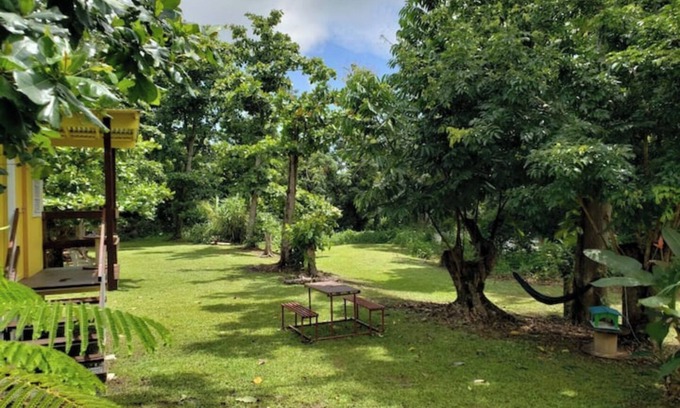 Zarzal RV Rental | The Casita Amarilla del Yunque & Buena Vibra
