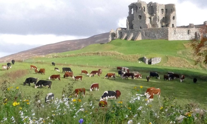 Aberlour Cottage | The Castle Byre, self-catering accommodation next to historic Auchindoun Castle