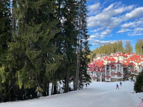 Pamporovo Apartment | The Castle Mountain Apartments