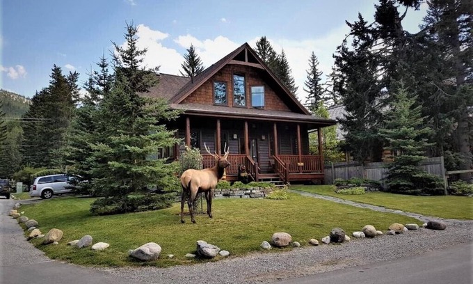 Banff Apartment | The Cedar - Downtown, walking distance to all the shops and restaurants!