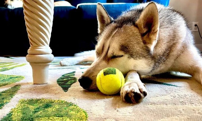 Baraboo House | The Circus City Retreat