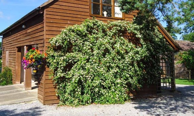 Newent House | THE COACH HOUSE, romantic in Newent