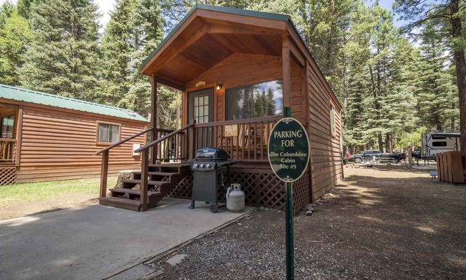 Bayfield Cabin | The Columbine Cabin #9