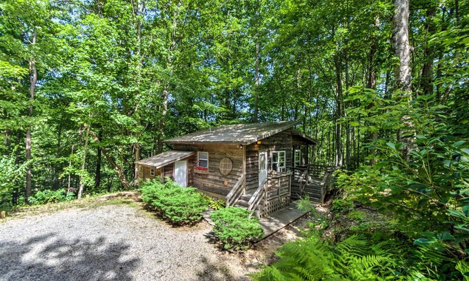 Stecoah Cabin | ‘The Coop’ Robbinsville Cabin w/Screened Porch!