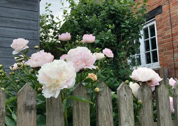 Sulgrave House | The Cottage