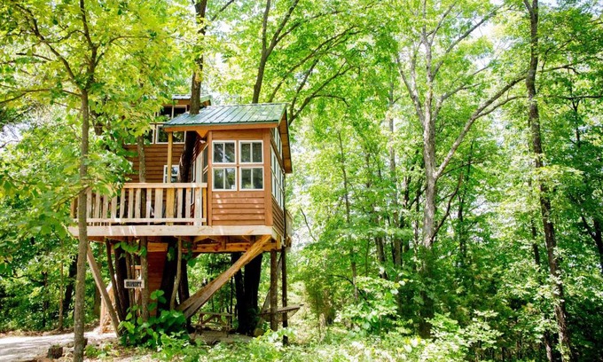 Hermann Bed & Breakfast | The Cottage Treehouses