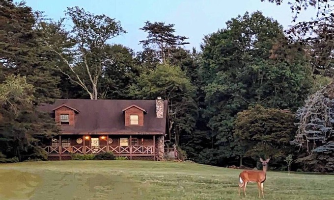 Nescopeck Cabin | The Cozy Cabin, 4 BR, 2 bath home on 5 private acres in NE PA. Family Friendly!