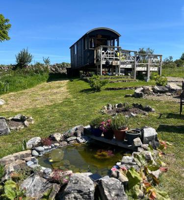 Creevy Apartment | The Creevy Cabin