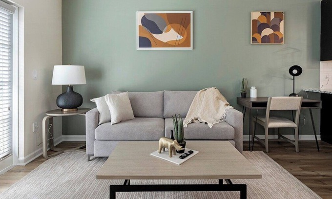 Charleston Apartment | The Daniel III Vibe 8727