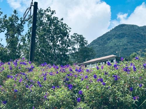 Dambulla House | The Dee's at sinharaja