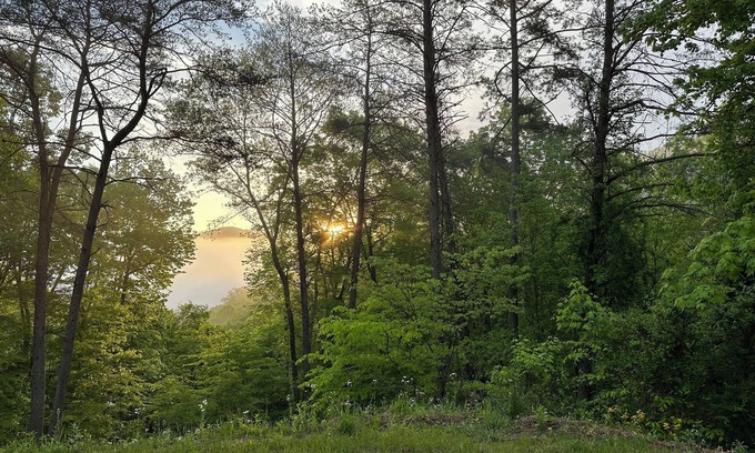 Stanton Cabin | The DEN-HotTub!-High Speed WiFi!-Great View!-Close to NADA Tunnel-Natural Bridge
