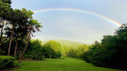 Gleniffer Bed & Breakfast | The Disco Studio