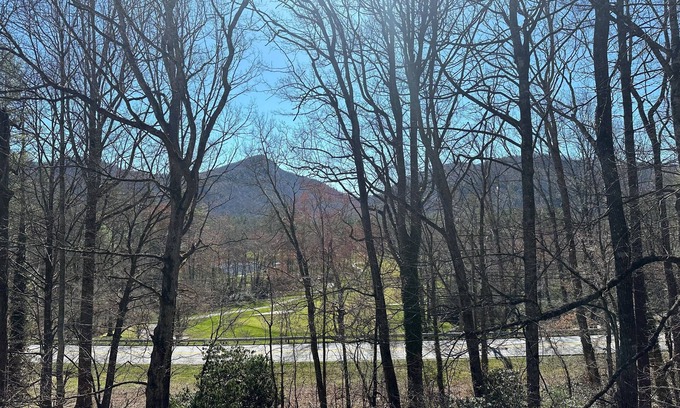 Sapphire Condo | The Dogwood condo is located in the heart of Sapphire Valley with WiFi, AC