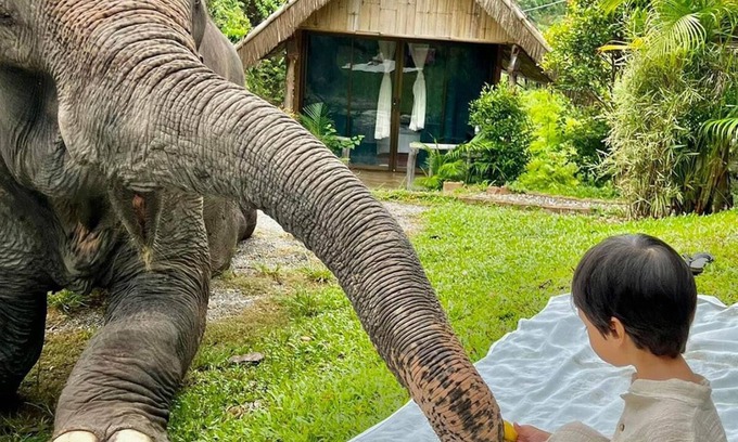 Mae Wang Cabin | The Elephant B&B