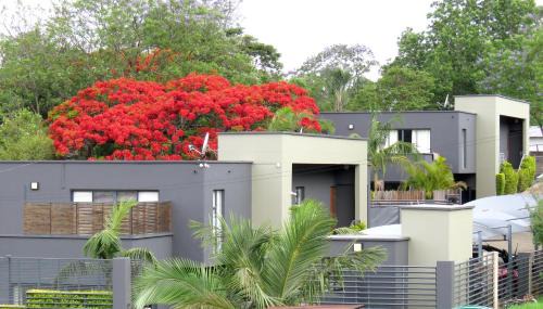 Lobamba Apartment | The Executive - Exclusive Self-Catering Apartments - Ezulwini