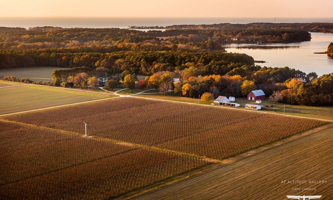 Birdsnest House | The Farmhouse at Chatham Vineyards