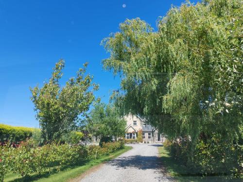 Kilmuckridge Bed & Breakfast | The Feathered Nest Room at The Cracked Hen