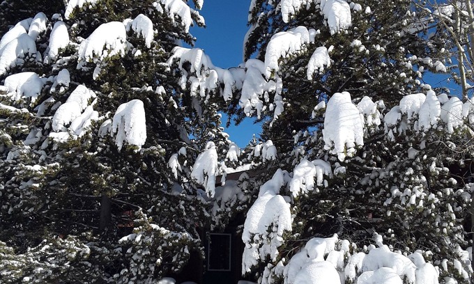 West Yellowstone House | The Firehole Cabin 418: Where Yellowstone Grandeur Meets Unrivaled Comfort