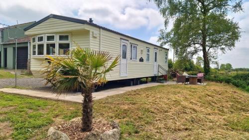 Brynteg House | The Fly Orchid
