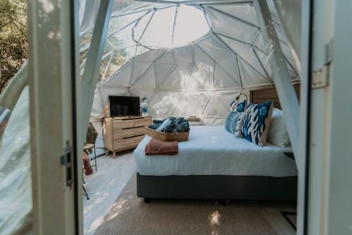 Storms River Other | The Forest Dome Tsitsikamma