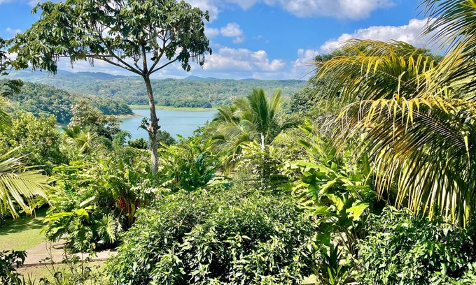 Arenal Other | The Fruit Tree Garden Bromeliad Suite