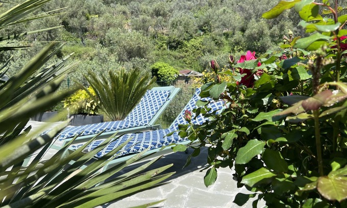 Volastra House | The Garden