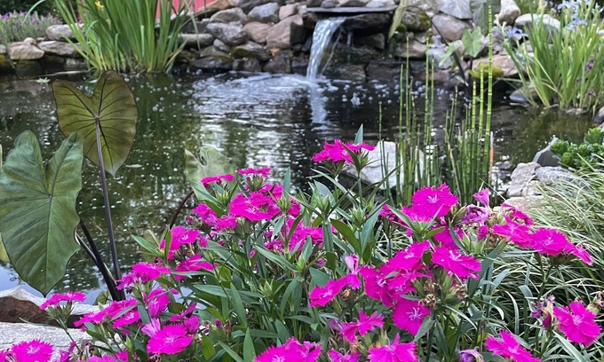 Maxeys Bed & Breakfast | The Gillen House B&B