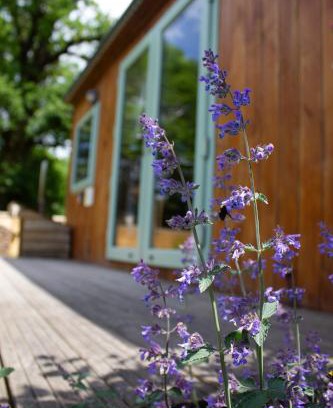 Warminster Other | The Hideaway at Hidden Wood Glamping