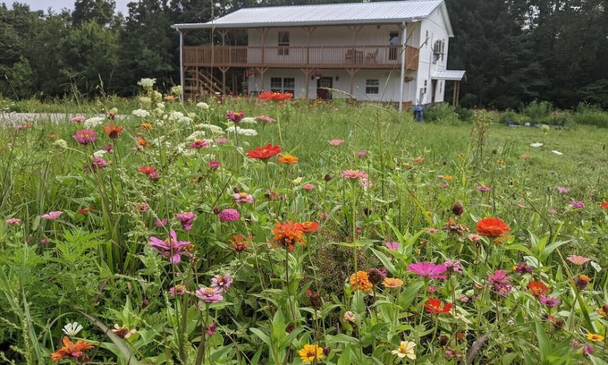 Whitley City Bed & Breakfast | The Inn at Beulah Farm - The Coop