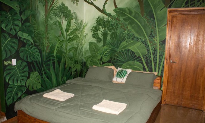 Santa Rosa Apartment | The Jungle