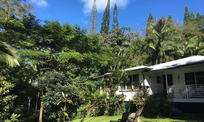 Kapoho Other | THE JUNGLE FARMHOUSE - Come See the Volcanoes National Park