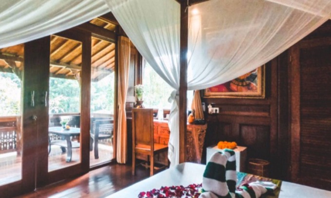 Penestanan Villa | The Jungle Villa Ubud Bali