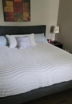 Southwest Calgary House | The King place, close to CTrain and Spruce Meadows Equestrian