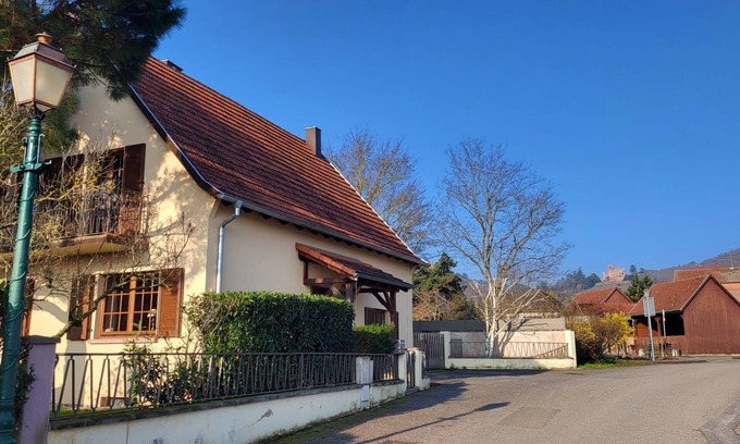 Kintzheim Apartment | The Kintzheim Refuge. Vineyards, châteaux and cycle routes. Pets free.