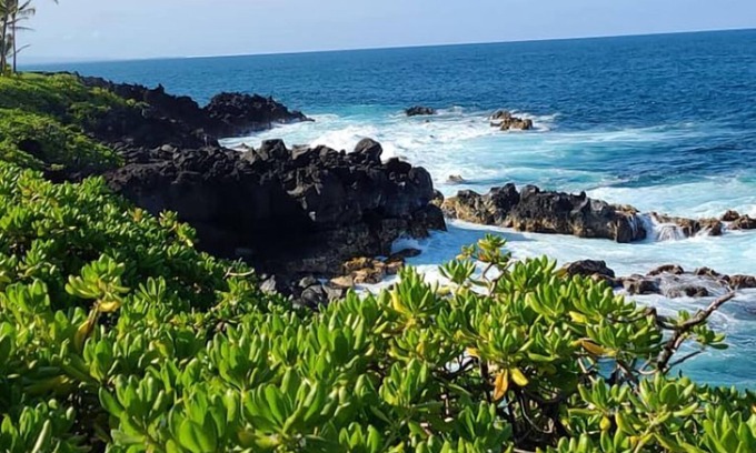 Keaau Apartment | The Laughing Gecko-Cozy Hawaiian Hideaway!