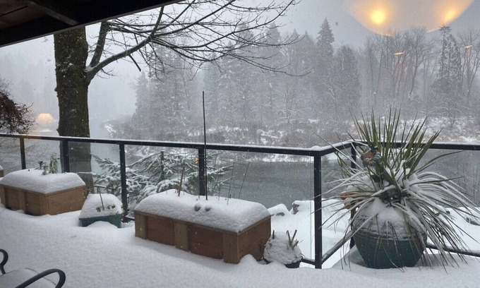 Woodland House | The Lewis River Zen Retreat