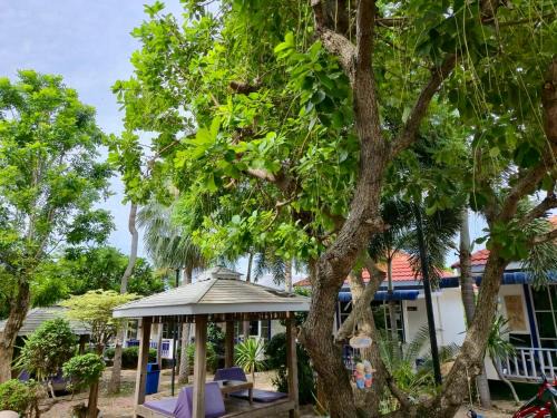 Koh Lan Resort | The Light House Resort - Kohlarn เดอะไลท์เฮ้าส์รีสอร์ท เกาะล้าน