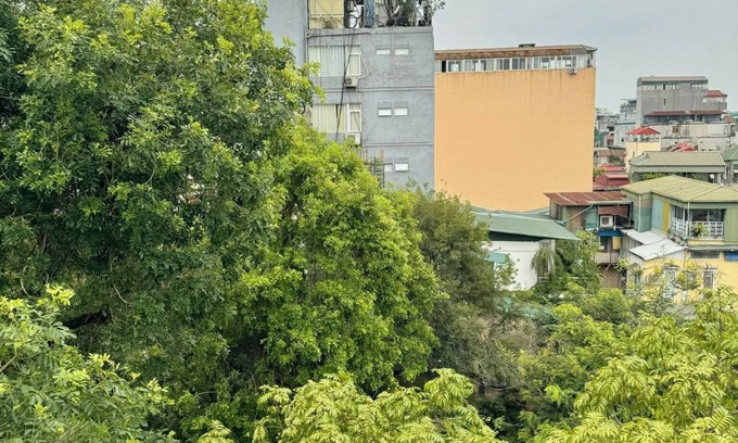 Hang Bo Apartment | The Little Hanoi