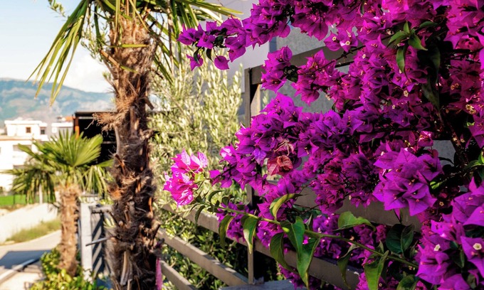 Ksamil Hotel | The Lord's Garden
