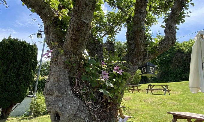 Lydden Bed & Breakfast | The Lydden Bell